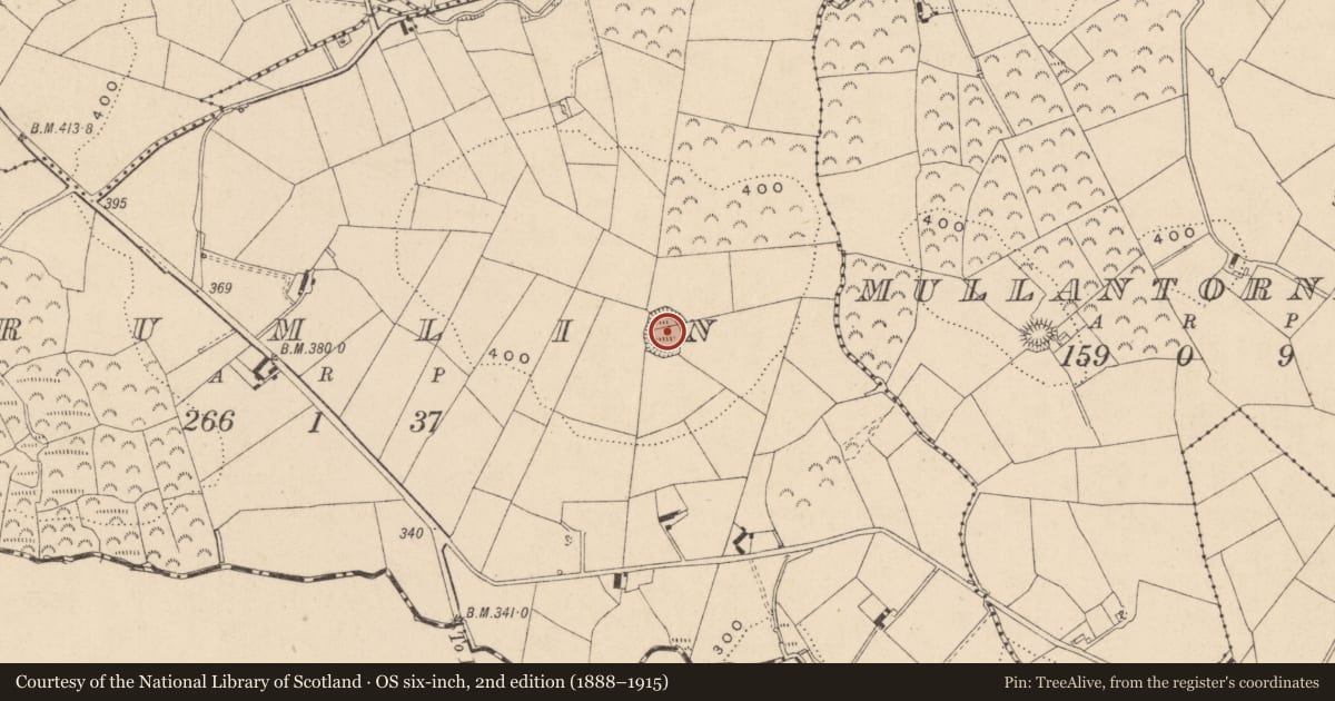 Ordnance Survey six-inch map, 2nd edition (1888–1915) covering the location of Ringfort - rath, Crumlin, County Monaghan, with a pin at the register's coordinates