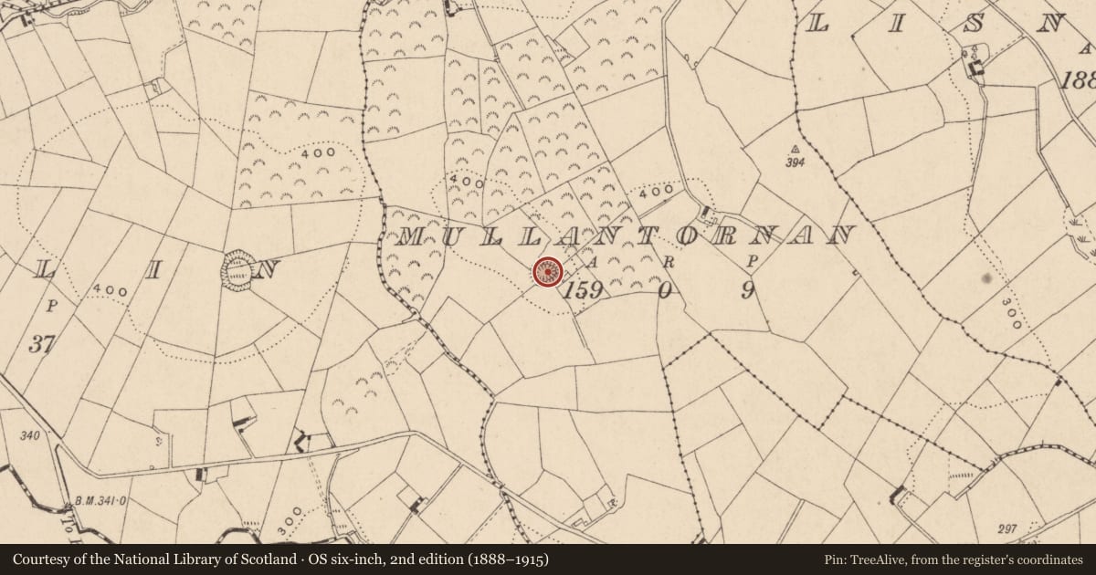 Ordnance Survey six-inch map, 2nd edition (1888–1915) covering the location of Ringfort - rath, Mullantornan, County Monaghan, with a pin at the register's coordinates
