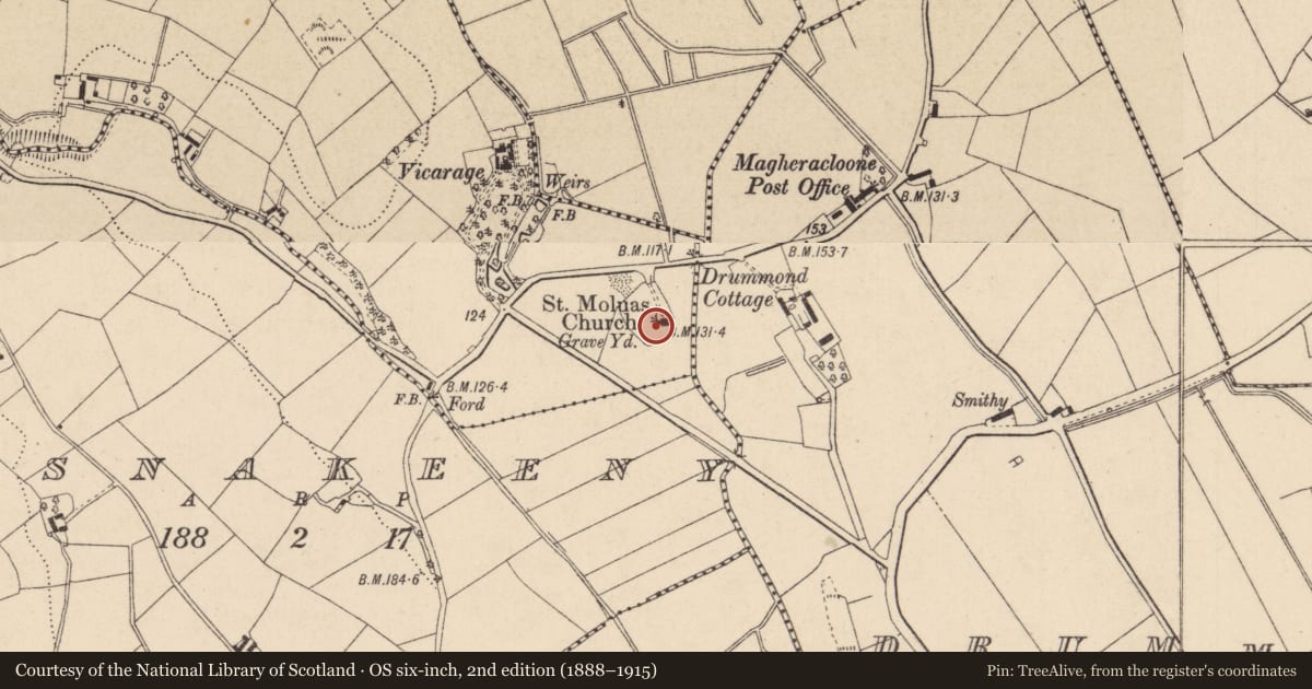 Ordnance Survey six-inch map, 2nd edition (1888–1915) covering the location of Graveyard, Camaghy, County Monaghan, with a pin at the register's coordinates