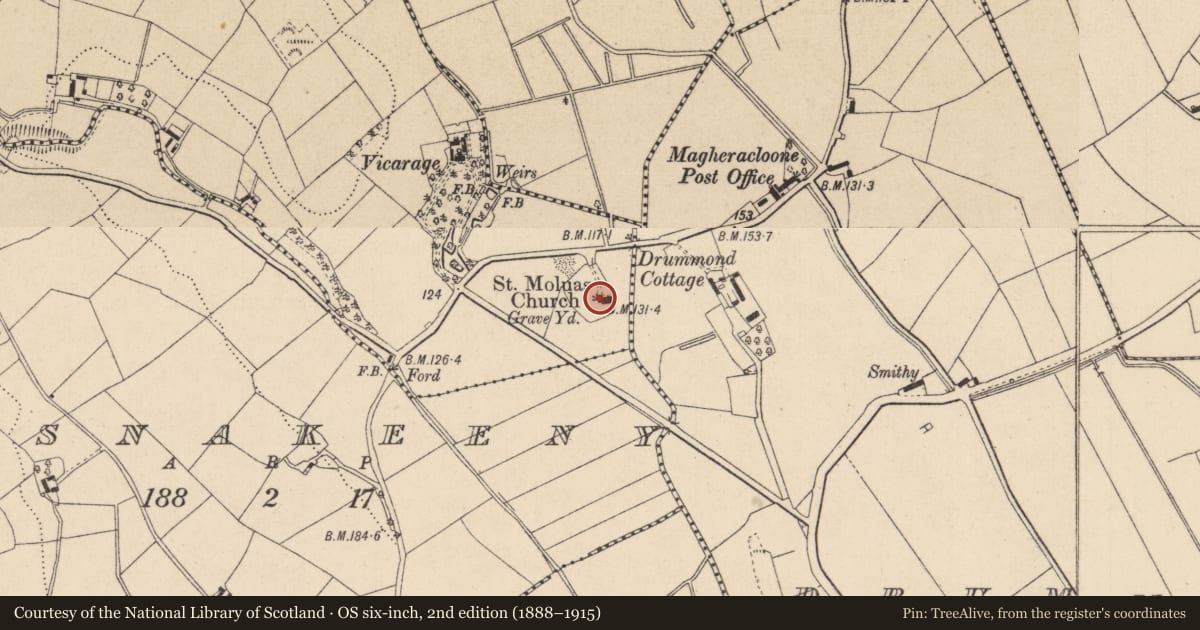 Ordnance Survey six-inch map, 2nd edition (1888–1915) covering the location of Headstone, Camaghy, County Monaghan, with a pin at the register's coordinates