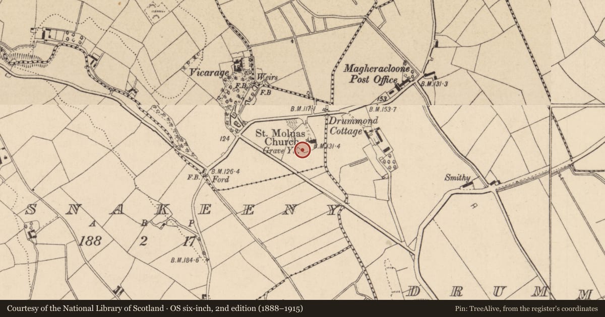 Ordnance Survey six-inch map, 2nd edition (1888–1915) covering the location of Headstone, Camaghy, County Monaghan, with a pin at the register's coordinates
