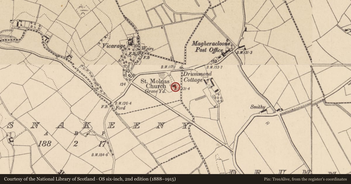 Ordnance Survey six-inch map, 2nd edition (1888–1915) covering the location of Graveslab, Camaghy, County Monaghan, with a pin at the register's coordinates