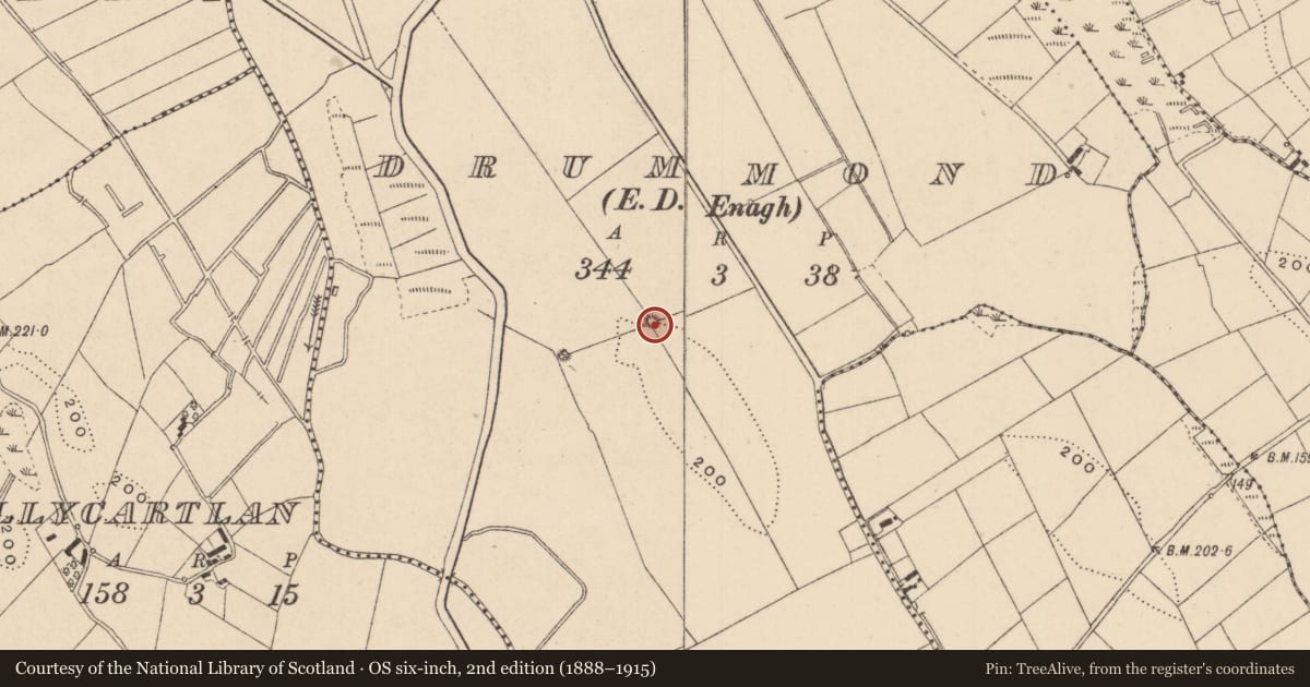 Ordnance Survey six-inch map, 2nd edition (1888–1915) covering the location of Enclosure, Drummond, County Monaghan, with a pin at the register's coordinates