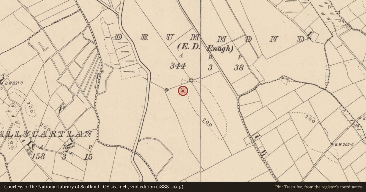 Ordnance Survey six-inch map, 2nd edition (1888–1915) covering the location of Enclosure, Drummond, County Monaghan, with a pin at the register's coordinates