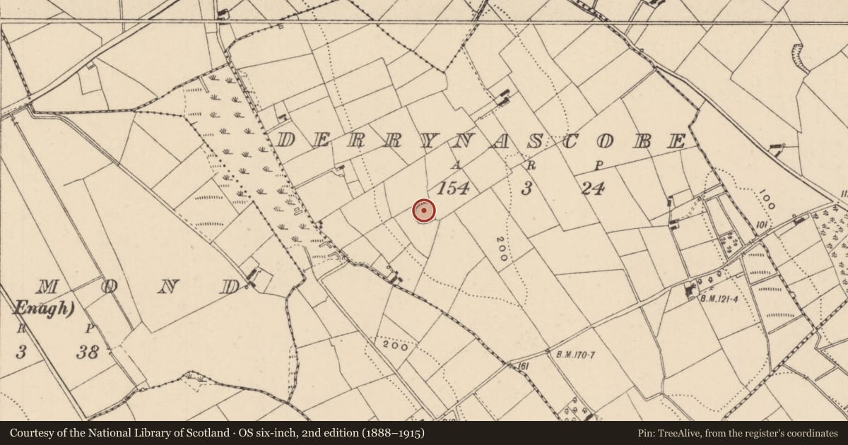 Ordnance Survey six-inch map, 2nd edition (1888–1915) covering the location of Ringfort - rath, Derrynascobe, County Monaghan, with a pin at the register's coordinates