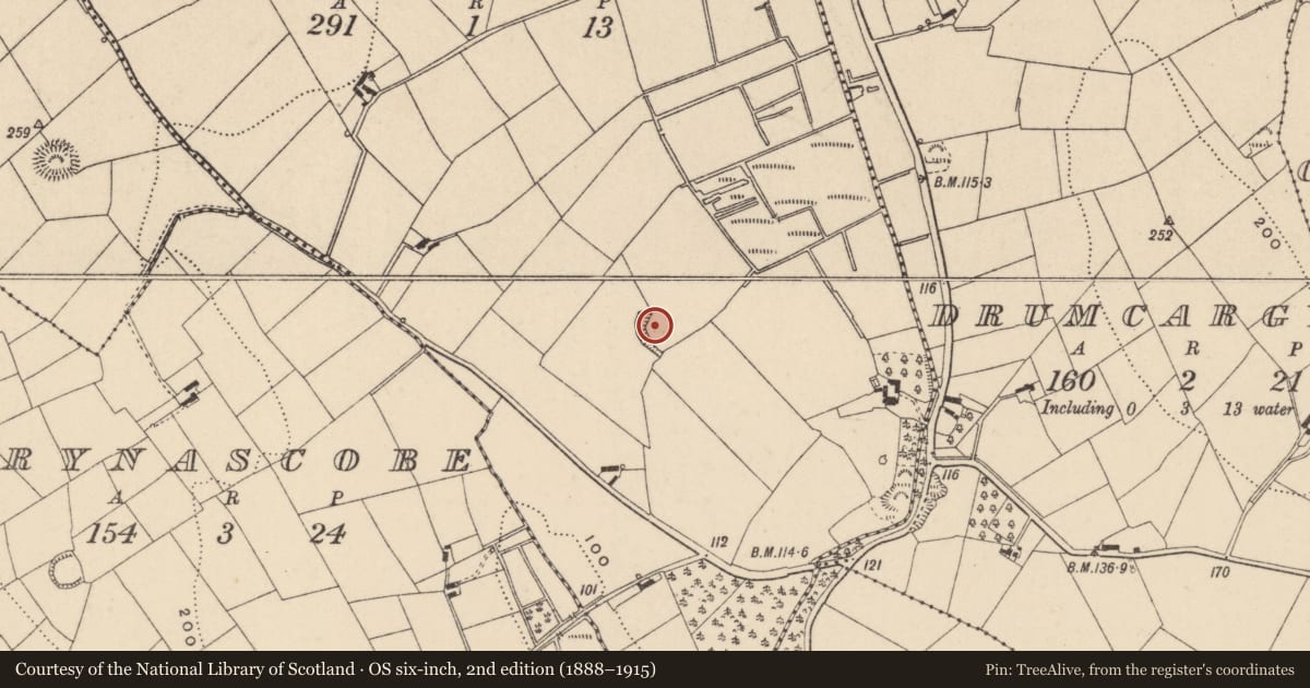 Ordnance Survey six-inch map, 2nd edition (1888–1915) covering the location of Ringfort - rath, Clonsedy, County Monaghan, with a pin at the register's coordinates