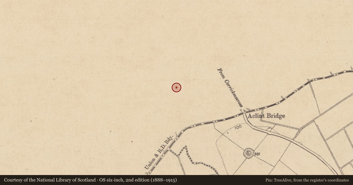 Ordnance Survey six-inch map, 2nd edition (1888–1915) covering the location of Fulacht fia, Drumgeeny, County Monaghan, with a pin at the register's coordinates