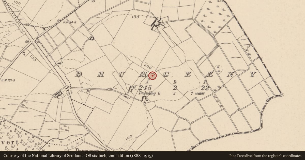 Ordnance Survey six-inch map, 2nd edition (1888–1915) covering the location of Ringfort - rath, Drumgeeny, County Monaghan, with a pin at the register's coordinates