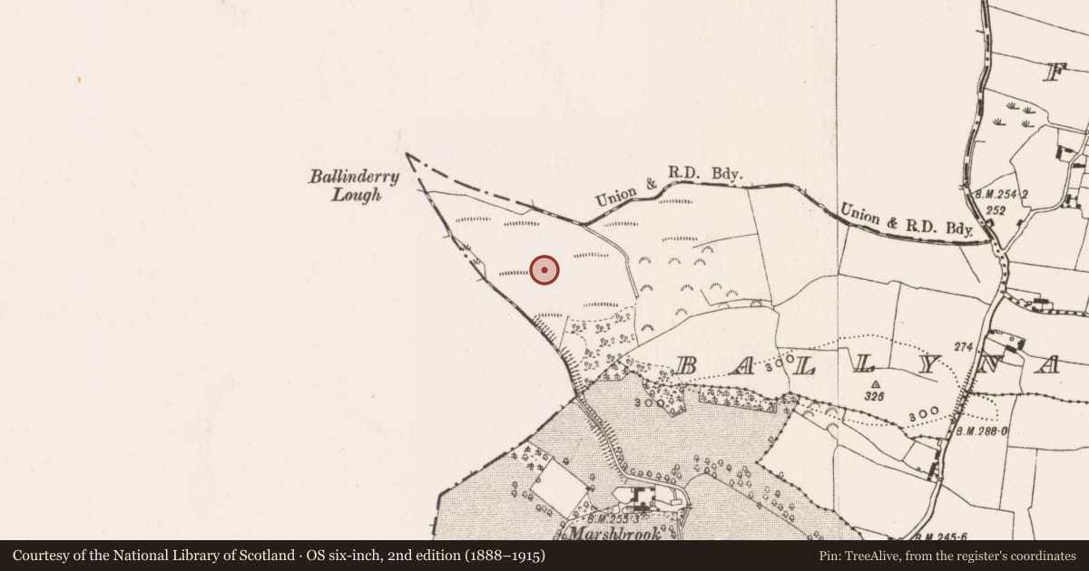 Ordnance Survey six-inch map, 2nd edition (1888–1915) covering the location of Crannog, Ballynahinch, County Offaly, with a pin at the register's coordinates