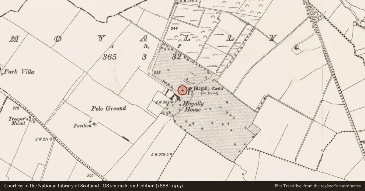 Ordnance Survey six-inch map, 2nd edition (1888–1915) covering the location of Castle - unclassified, Moyally, County Offaly, with a pin at the register's coordinates
