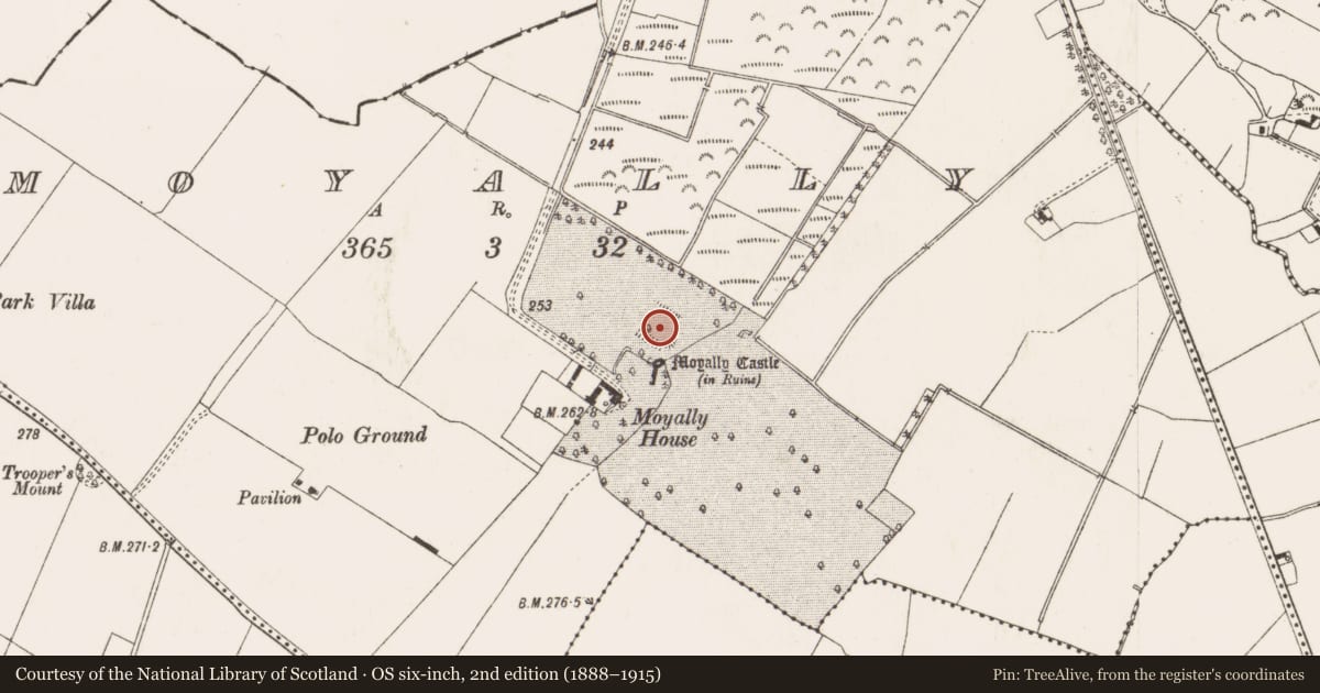 Ordnance Survey six-inch map, 2nd edition (1888–1915) covering the location of Earthwork, Moyally, County Offaly, with a pin at the register's coordinates