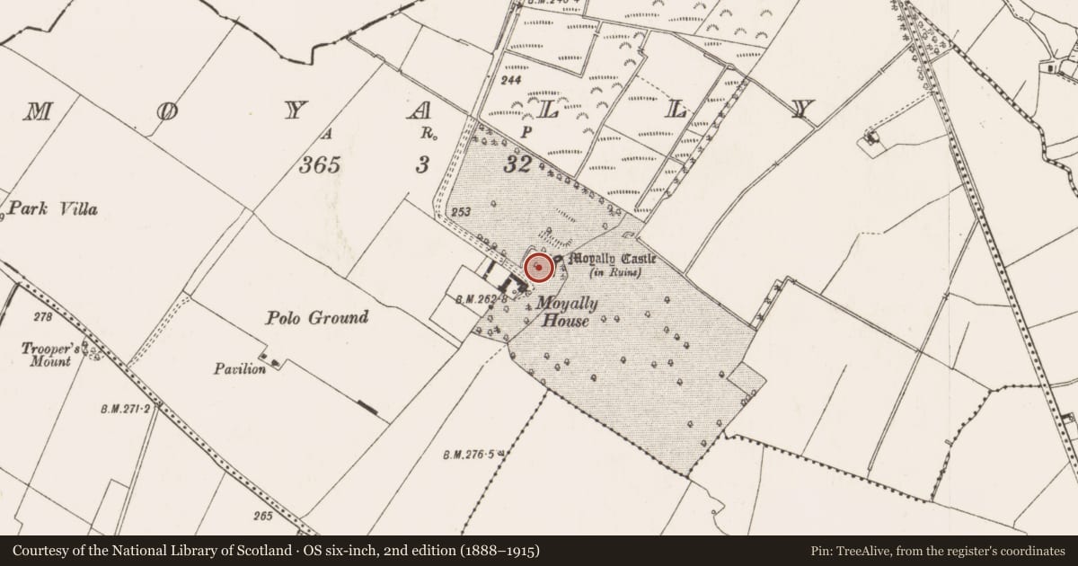 Ordnance Survey six-inch map, 2nd edition (1888–1915) covering the location of Bawn, Moyally, County Offaly, with a pin at the register's coordinates