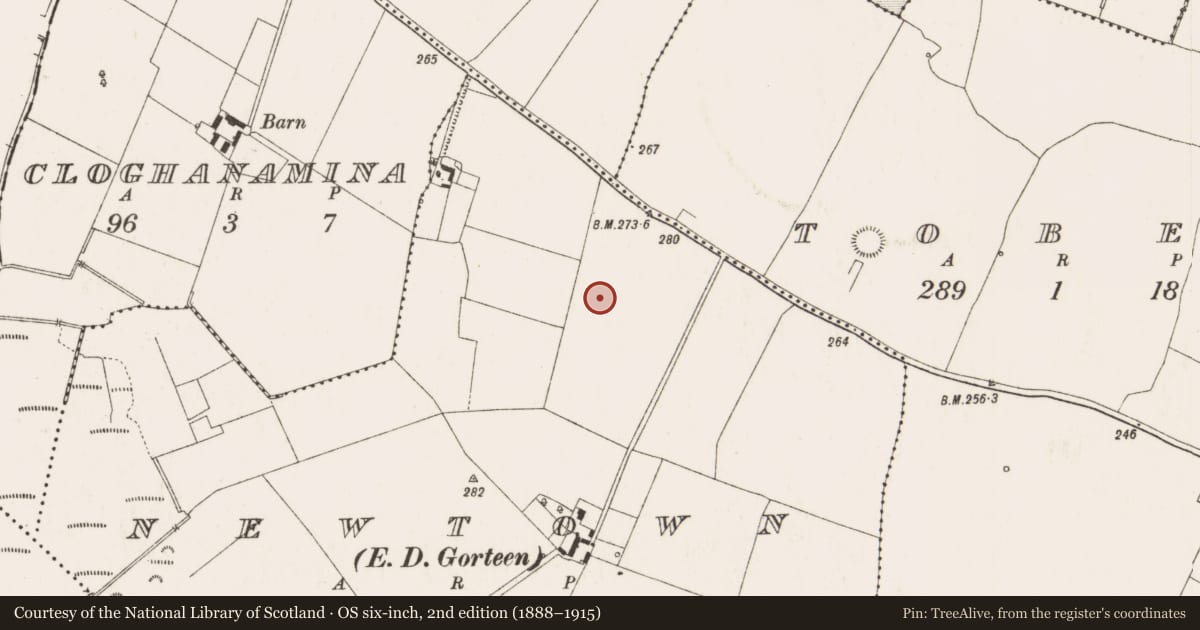 Ordnance Survey six-inch map, 2nd edition (1888–1915) covering the location of Enclosure, Newtown, County Offaly, with a pin at the register's coordinates