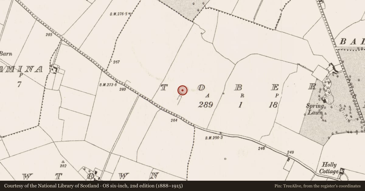 Ordnance Survey six-inch map, 2nd edition (1888–1915) covering the location of Enclosure, Tober, County Offaly, with a pin at the register's coordinates