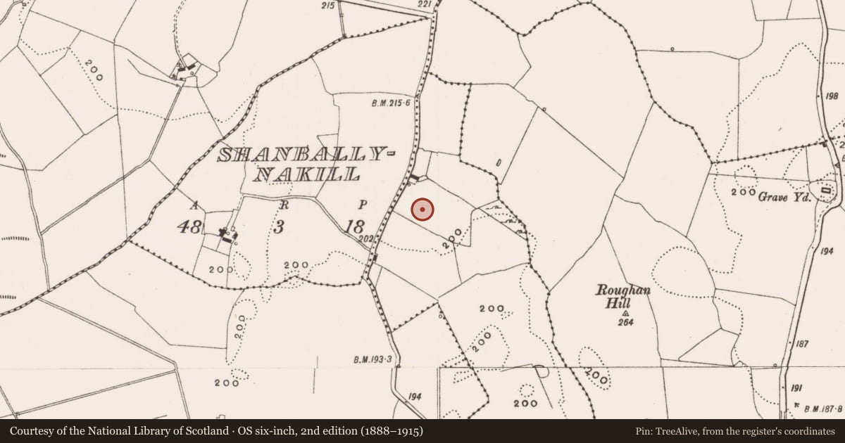Ordnance Survey six-inch map, 2nd edition (1888–1915) covering the location of Standing stone, Bolart North, County Offaly, with a pin at the register's coordinates