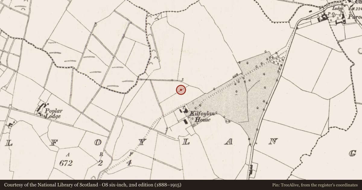 Ordnance Survey six-inch map, 2nd edition (1888–1915) covering the location of Barrow - bowl-barrow, Kilfoylan, County Offaly, with a pin at the register's coordinates