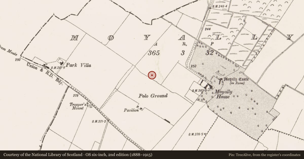 Ordnance Survey six-inch map, 2nd edition (1888–1915) covering the location of Ringfort - rath, Moyally, County Offaly, with a pin at the register's coordinates