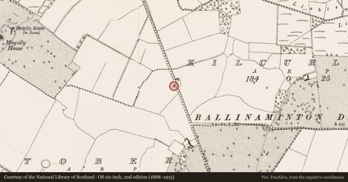 Ordnance Survey six-inch map, 2nd edition (1888–1915) covering the location of House - Bronze Age, Tober, County Offaly, with a pin at the register's coordinates