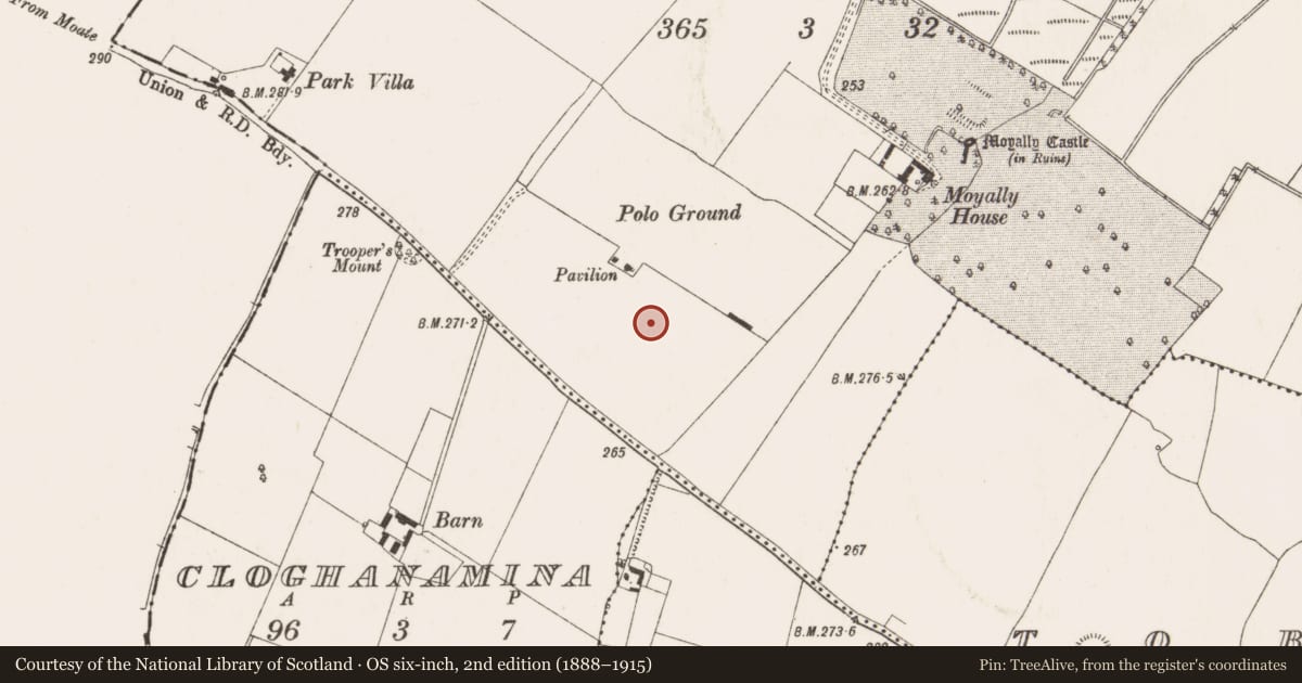Ordnance Survey six-inch map, 2nd edition (1888–1915) covering the location of Metalworking site, Moyally, County Offaly, with a pin at the register's coordinates