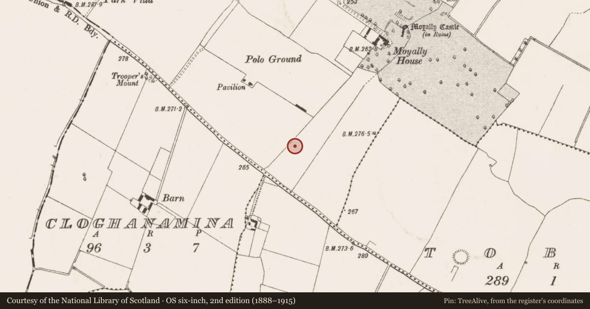 Ordnance Survey six-inch map, 2nd edition (1888–1915) covering the location of Cremation pit, Moyally, County Offaly, with a pin at the register's coordinates