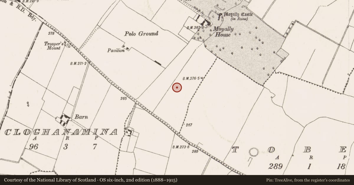 Ordnance Survey six-inch map, 2nd edition (1888–1915) covering the location of Structure, Moyally, County Offaly, with a pin at the register's coordinates