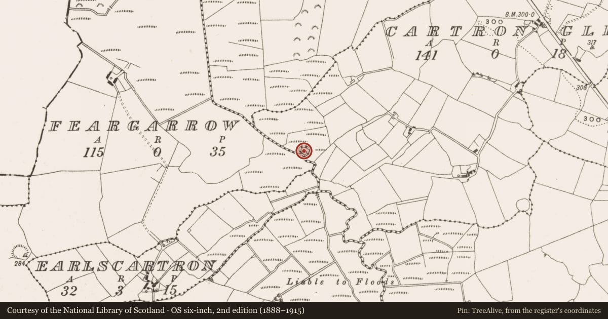Ordnance Survey six-inch map, 2nd edition (1888–1915) covering the location of Crannog, Cartron Glebe, County Offaly, with a pin at the register's coordinates