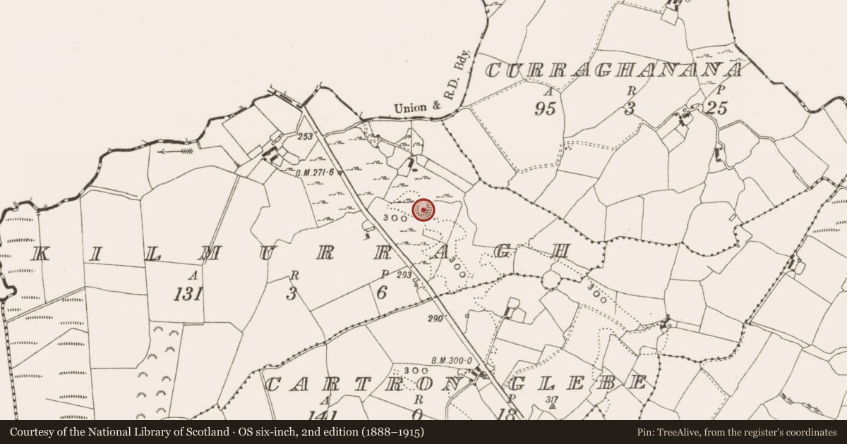 Ordnance Survey six-inch map, 2nd edition (1888–1915) covering the location of Ringfort - rath, Kilmurragh, County Offaly, with a pin at the register's coordinates