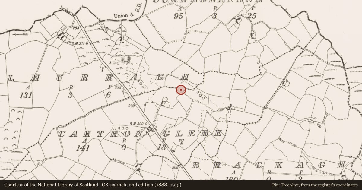 Ordnance Survey six-inch map, 2nd edition (1888–1915) covering the location of Ringfort - rath, Kilmurragh, County Offaly, with a pin at the register's coordinates