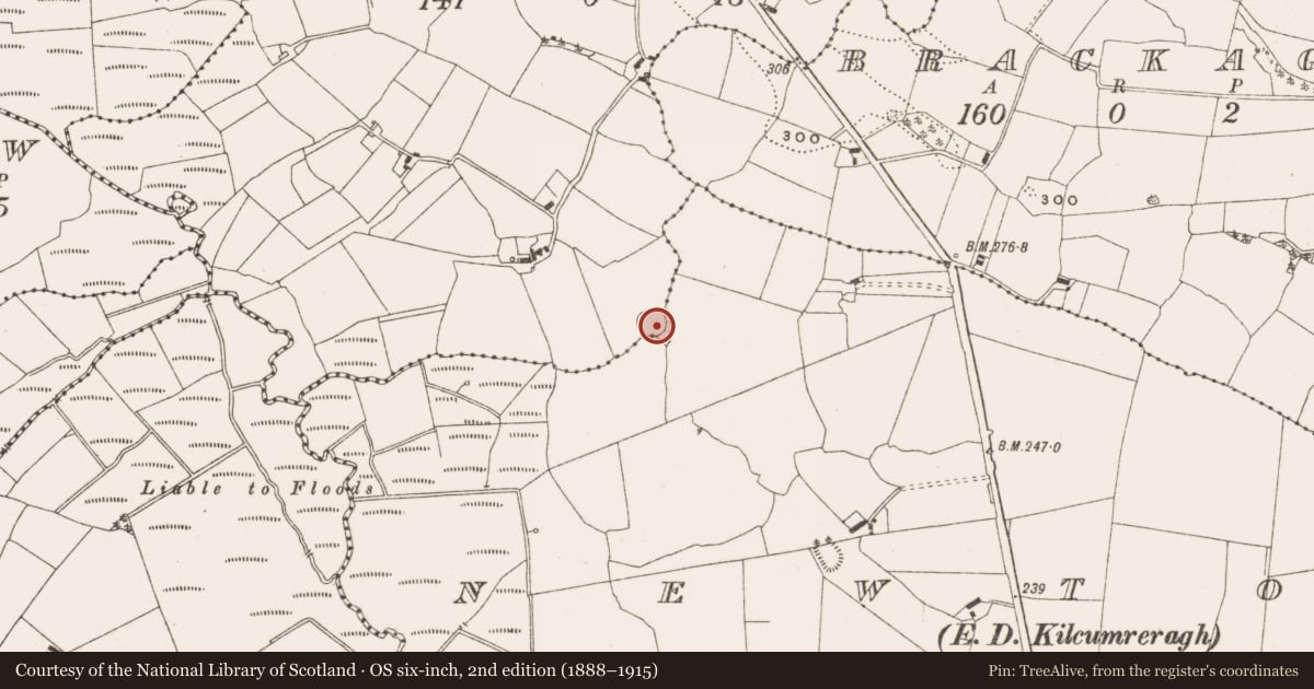 Ordnance Survey six-inch map, 2nd edition (1888–1915) covering the location of Ringfort - rath, Cartron Glebe, County Offaly, with a pin at the register's coordinates