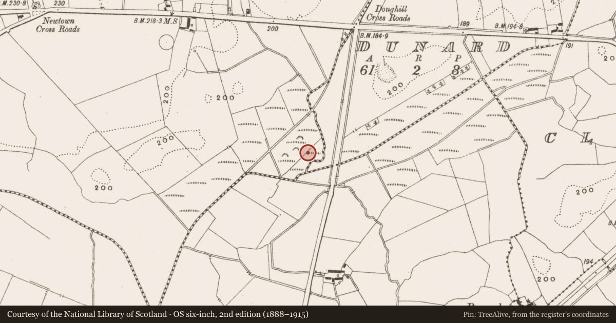 Ordnance Survey six-inch map, 2nd edition (1888–1915) covering the location of Enclosure, Newtown, County Offaly, with a pin at the register's coordinates