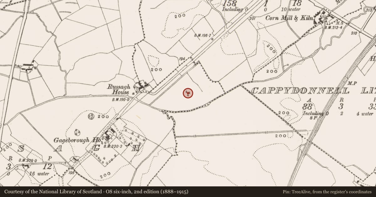 Ordnance Survey six-inch map, 2nd edition (1888–1915) covering the location of Enclosure, Russagh, County Offaly, with a pin at the register's coordinates