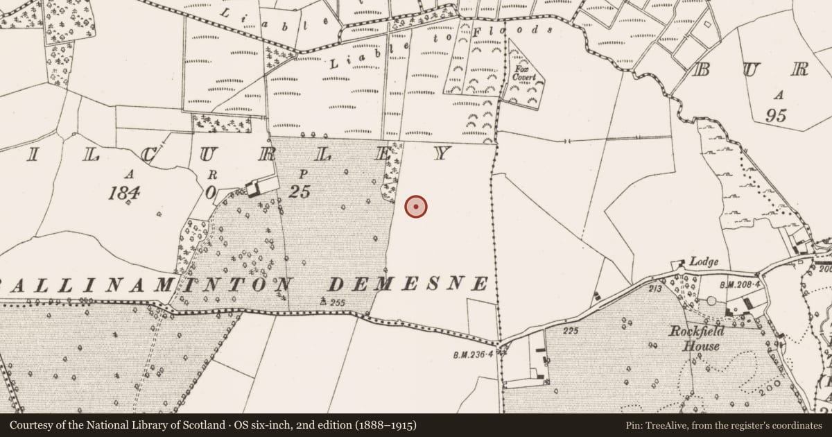 Ordnance Survey six-inch map, 2nd edition (1888–1915) covering the location of Enclosure, Kilcurley, County Offaly, with a pin at the register's coordinates