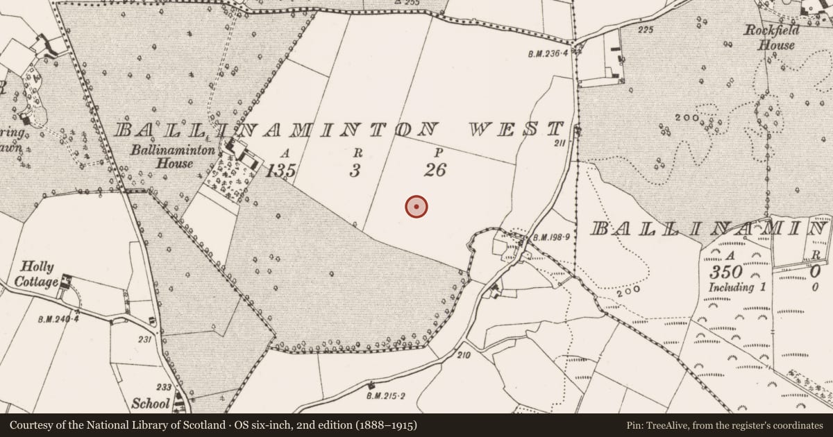 Ordnance Survey six-inch map, 2nd edition (1888–1915) covering the location of Enclosure, Ballinaminton West, County Offaly, with a pin at the register's coordinates
