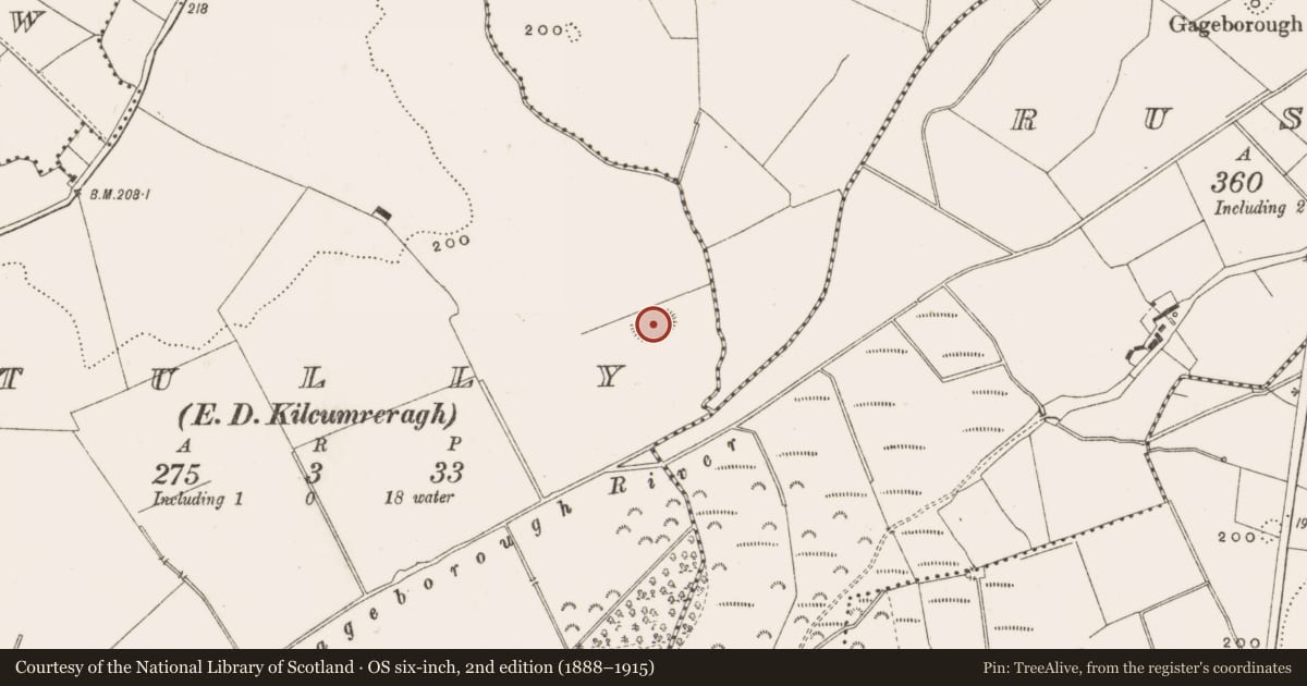 Ordnance Survey six-inch map, 2nd edition (1888–1915) covering the location of Enclosure, Tully, County Offaly, with a pin at the register's coordinates