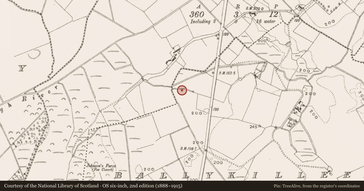 Ordnance Survey six-inch map, 2nd edition (1888–1915) covering the location of Water mill - horizontal-wheeled, Ballykilleen, County Offaly, with a pin at the register's coordinates