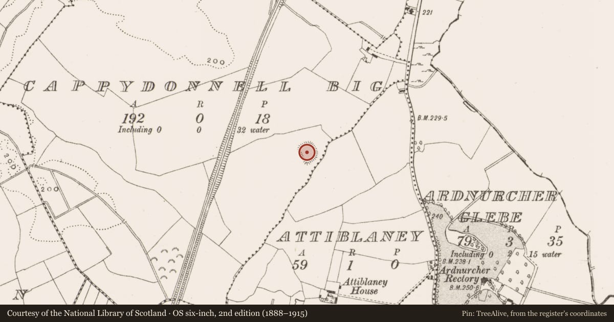 Ordnance Survey six-inch map, 2nd edition (1888–1915) covering the location of Cist, Cappydonnell Big, County Offaly, with a pin at the register's coordinates