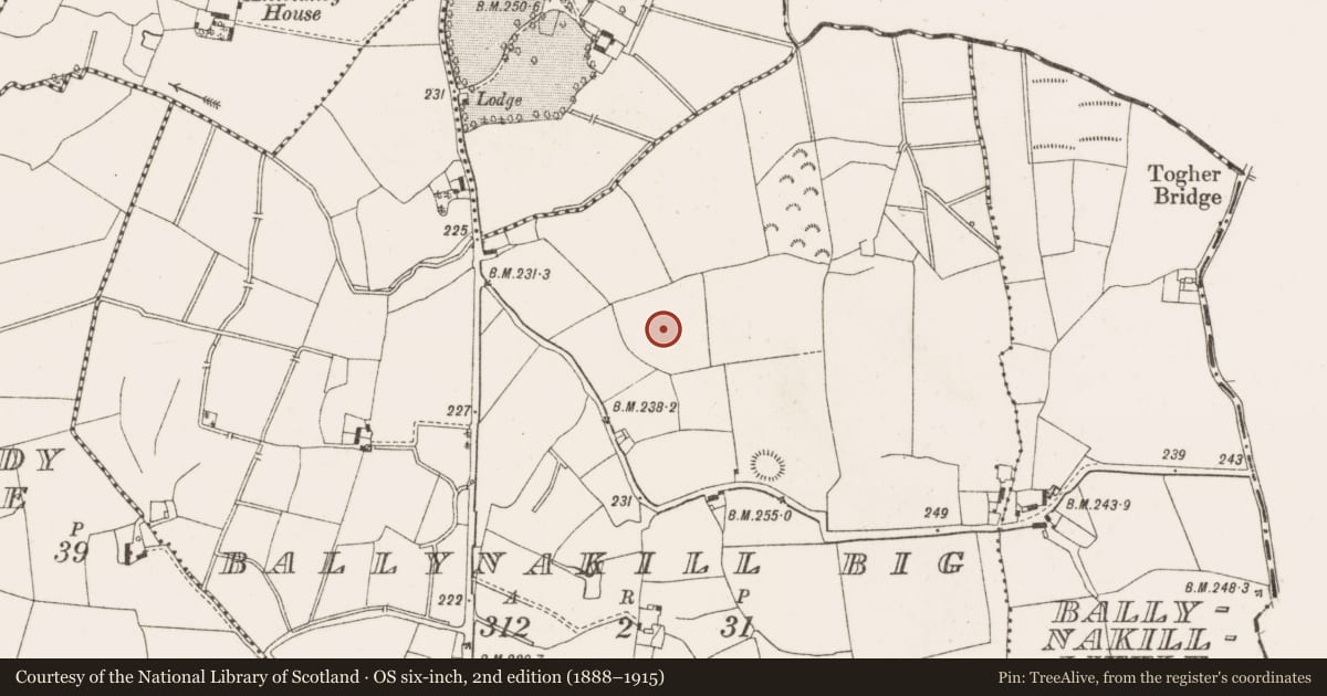 Ordnance Survey six-inch map, 2nd edition (1888–1915) covering the location of Earthwork, Ballynakill Big, County Offaly, with a pin at the register's coordinates
