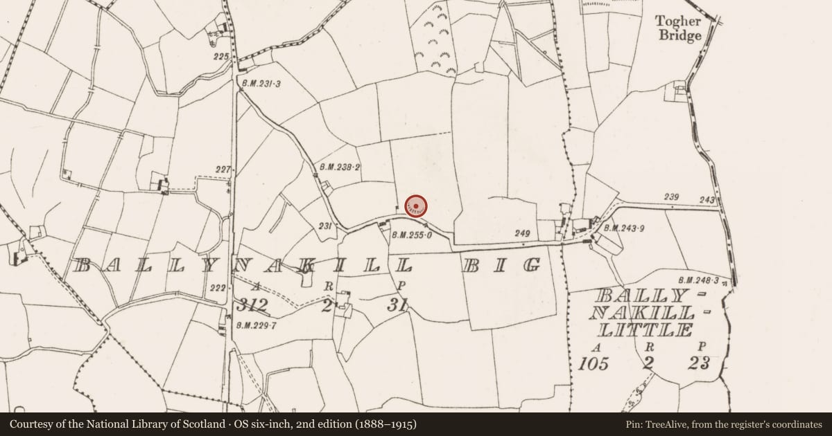 Ordnance Survey six-inch map, 2nd edition (1888–1915) covering the location of Ringfort - rath, Ballynakill Big, County Offaly, with a pin at the register's coordinates