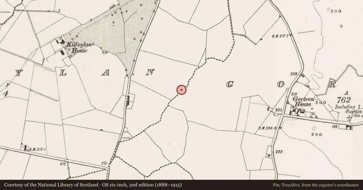 Ordnance Survey six-inch map, 2nd edition (1888–1915) covering the location of Ringfort - cashel, Gorteen, Kilfoylan, County Offaly, with a pin at the register's coordinates