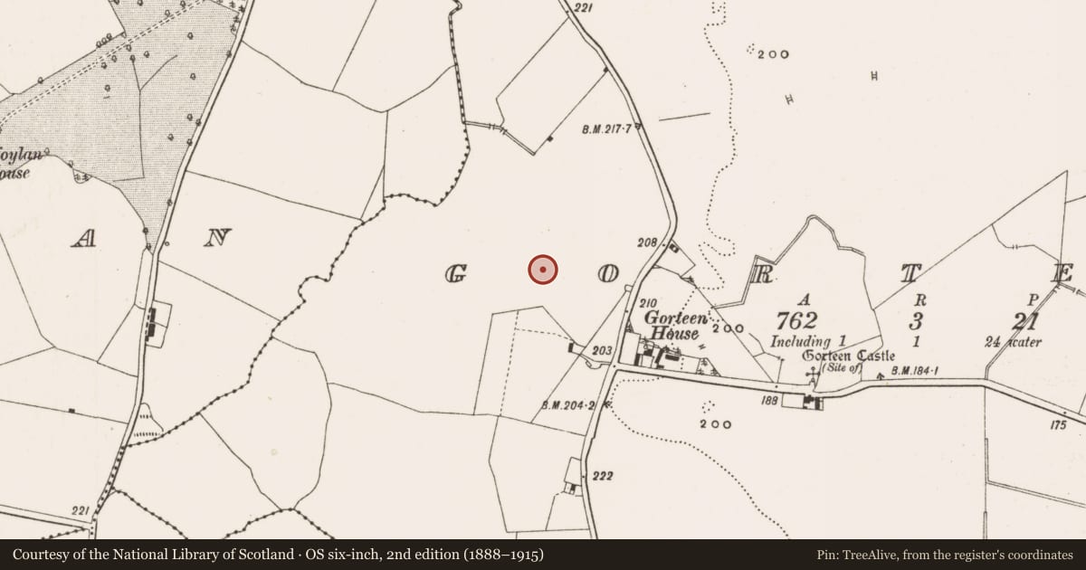 Ordnance Survey six-inch map, 2nd edition (1888–1915) covering the location of Moated site, Gorteen, County Offaly, with a pin at the register's coordinates