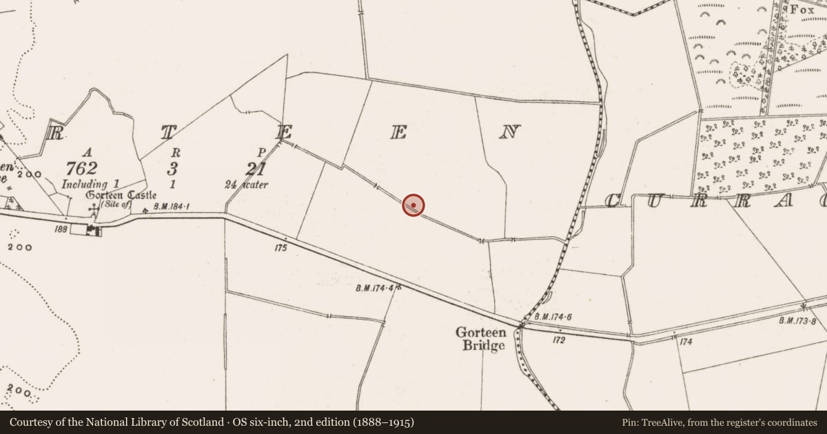 Ordnance Survey six-inch map, 2nd edition (1888–1915) covering the location of Enclosure, Gorteen, County Offaly, with a pin at the register's coordinates