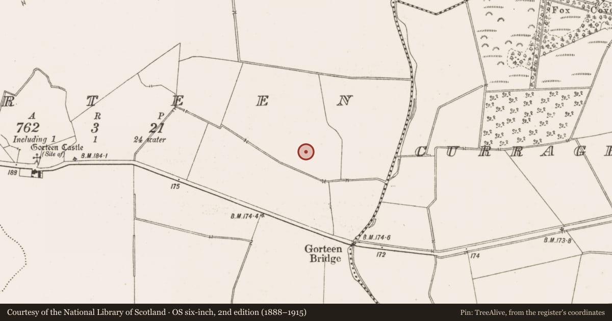 Ordnance Survey six-inch map, 2nd edition (1888–1915) covering the location of Enclosure, Gorteen, County Offaly, with a pin at the register's coordinates
