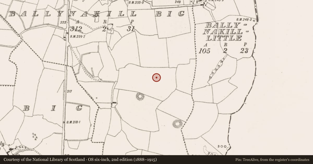 Ordnance Survey six-inch map, 2nd edition (1888–1915) covering the location of Enclosure, Ballynakill Big, County Offaly, with a pin at the register's coordinates