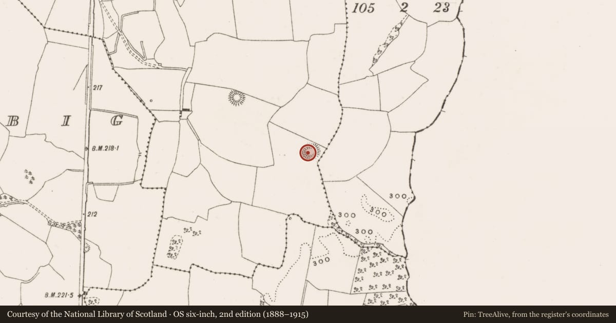 Ordnance Survey six-inch map, 2nd edition (1888–1915) covering the location of Ringfort - rath, Ballynakill Big, County Offaly, with a pin at the register's coordinates