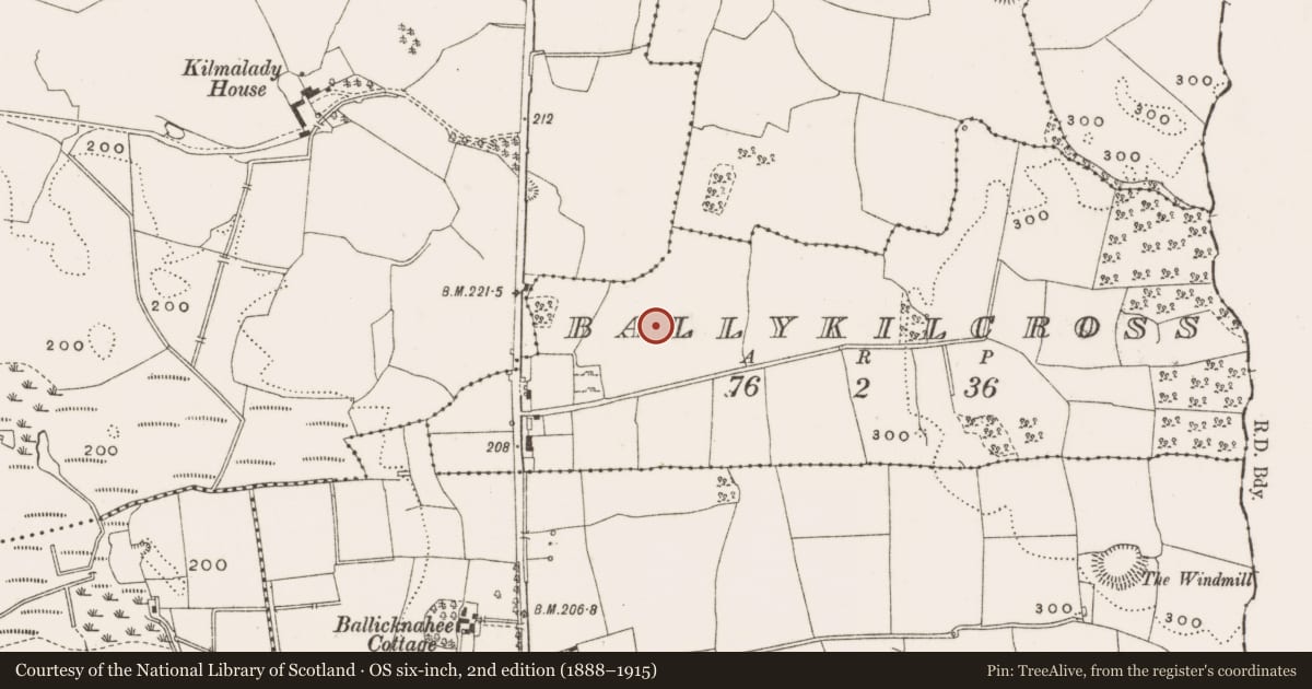 Ordnance Survey six-inch map, 2nd edition (1888–1915) covering the location of Church, Ballykilcross, County Offaly, with a pin at the register's coordinates