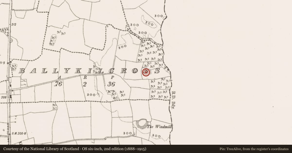 Ordnance Survey six-inch map, 2nd edition (1888–1915) covering the location of Enclosure, Ballykilcross, County Offaly, with a pin at the register's coordinates