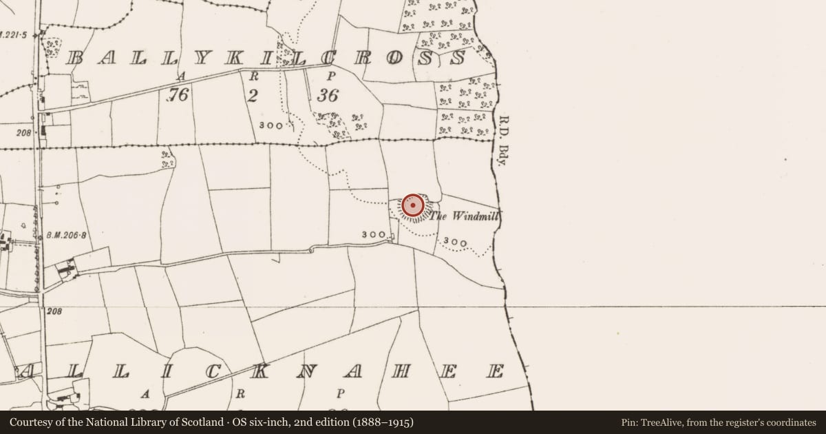 Ordnance Survey six-inch map, 2nd edition (1888–1915) covering the location of Ringfort - rath, Ballicknahee, County Offaly, with a pin at the register's coordinates