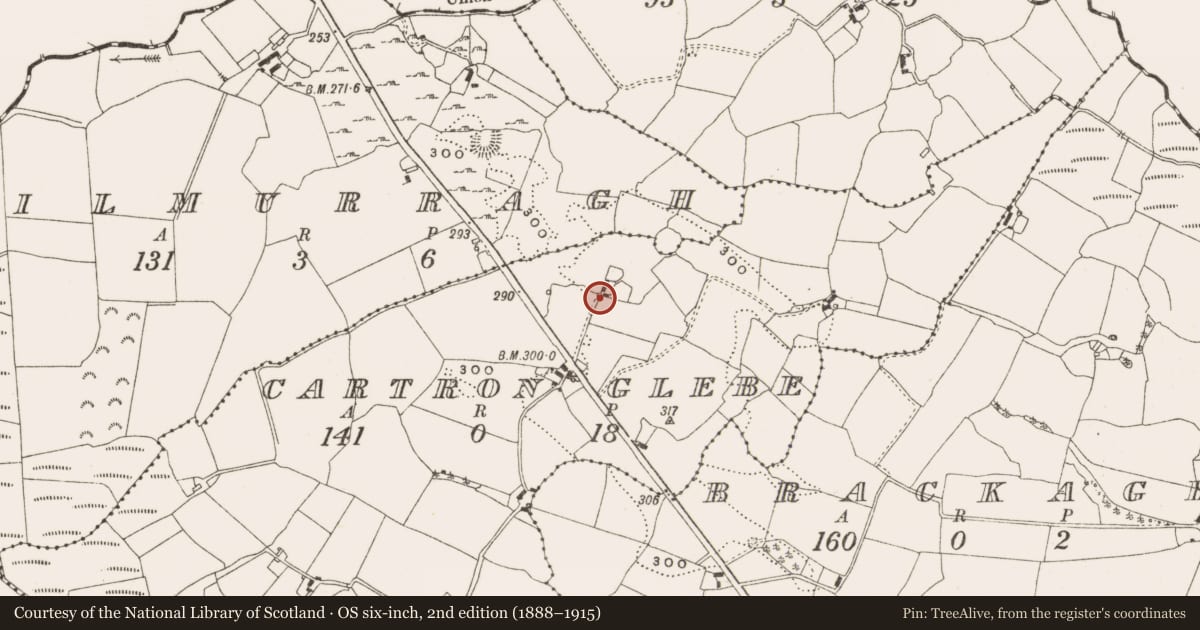 Ordnance Survey six-inch map, 2nd edition (1888–1915) covering the location of Standing stone, Cartron Glebe, County Offaly, with a pin at the register's coordinates