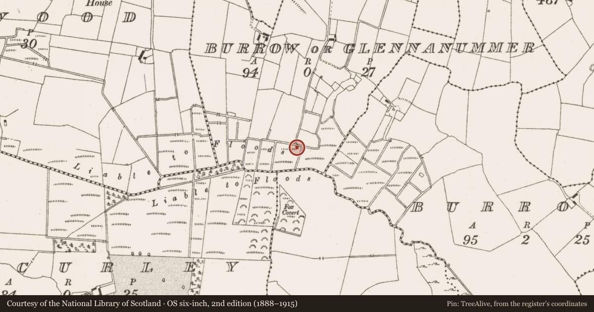 Ordnance Survey six-inch map, 2nd edition (1888–1915) covering the location of Fulacht fia, Burrow Or Glennanummer, County Offaly, with a pin at the register's coordinates
