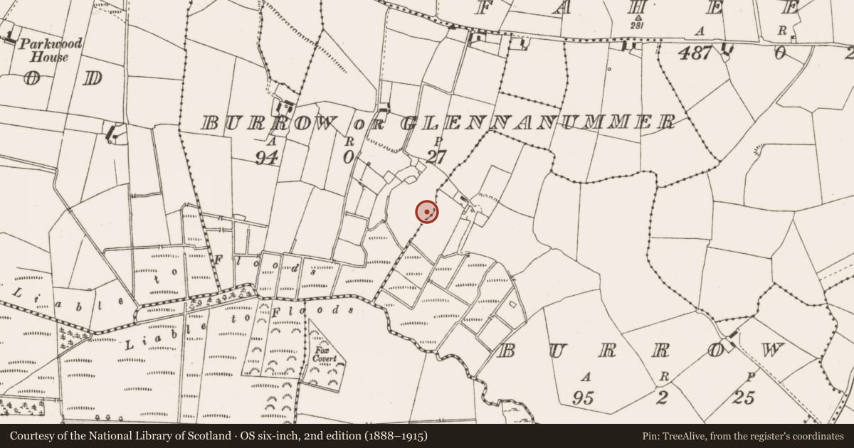 Ordnance Survey six-inch map, 2nd edition (1888–1915) covering the location of Fulacht fia, Burrow Or Glennanummer, County Offaly, with a pin at the register's coordinates